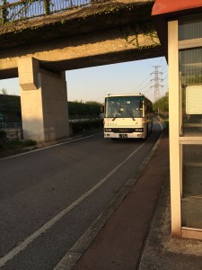 バス